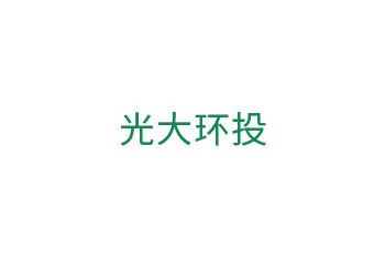 光大环投